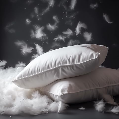 Pillow Feathers